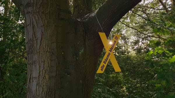 Stadtdschungel: Der wilde Wald in Wilhelmsburg (stern+)