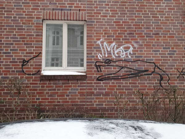 Der Flaneur - Newsletter #6 - 02/2026